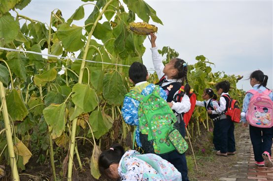 DSC_3034_爱奇艺.jpg