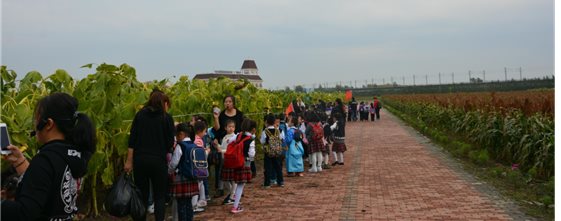 DSC_3059_爱奇艺.jpg