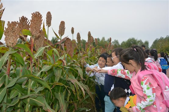 DSC_3073_爱奇艺.jpg