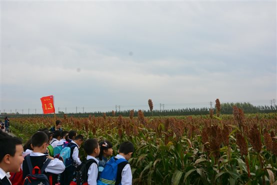 DSC_3068_爱奇艺.jpg