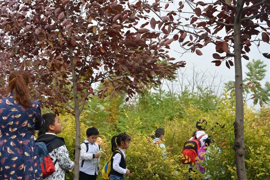 D:小学部图片整理20177年7图片7.9.22记录秋天 体验快乐 采摘DSC_3100.JPG