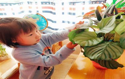 微信图片_20181204131653