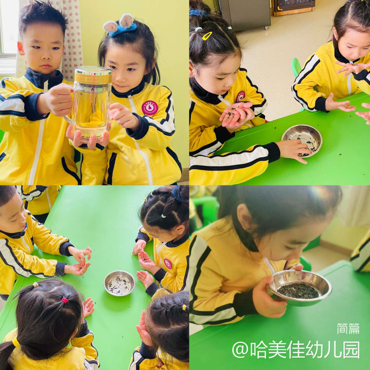 微信图片_20230422110045.jpg